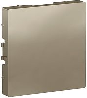 Заглушка без рамки Systeme Electric AtlasDesign шампань картинка